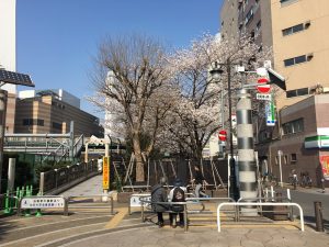 【池袋駅】春爛漫！桜を見に行こう！池袋東口の満開コースの池袋駅前公園2