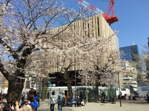 【池袋駅】春爛漫！桜を見に行こう！池袋東口の満開コースの中池袋公園2