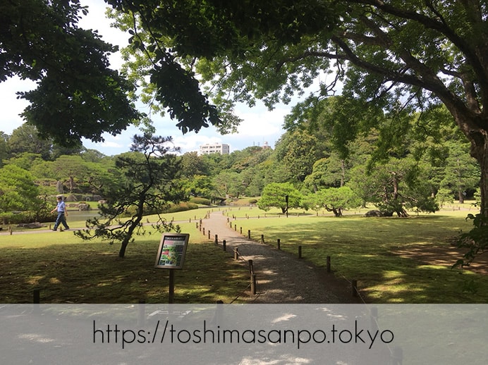【駒込駅】歴史を学ぶいい日にしよう。和歌山市を模した江戸時代の庭園「六義園」で涼をとろう。の六義園の庭園内1