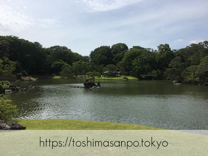 【駒込駅】歴史を学ぶいい日にしよう。和歌山市を模した江戸時代の庭園「六義園」で涼をとろう。の六義園の庭園内3
