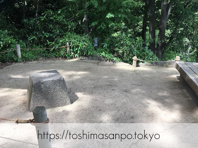 【駒込駅】歴史を学ぶいい日にしよう。和歌山市を模した江戸時代の庭園「六義園」で涼をとろう。の六義園の藤代峠3