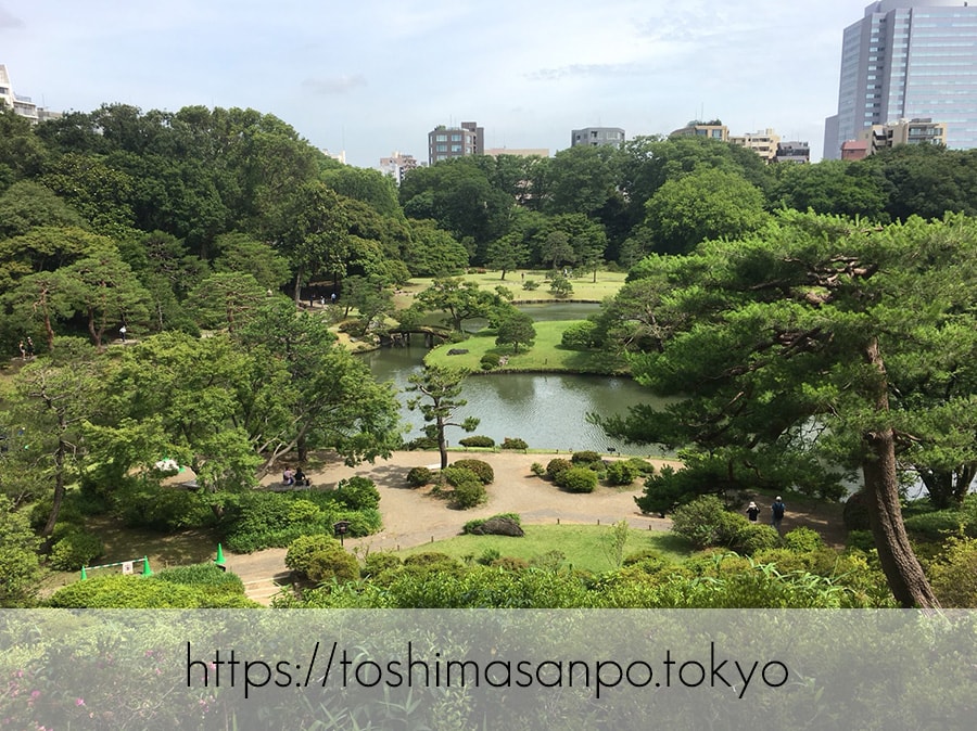 【駒込駅】歴史を学ぶいい日にしよう。和歌山市を模した江戸時代の庭園「六義園」で涼をとろう。