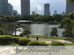 【新橋駅】水上バスにも乗れる！東京湾から繋がる江戸時代の広大な庭園「浜離宮恩賜庭園」の風情。